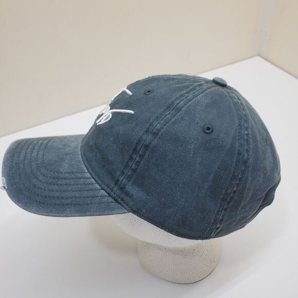 Pink Floyd Cap Hat Blue Distress Denim Cotton American Eagle One Size Adjustable - Picture 2 of 11